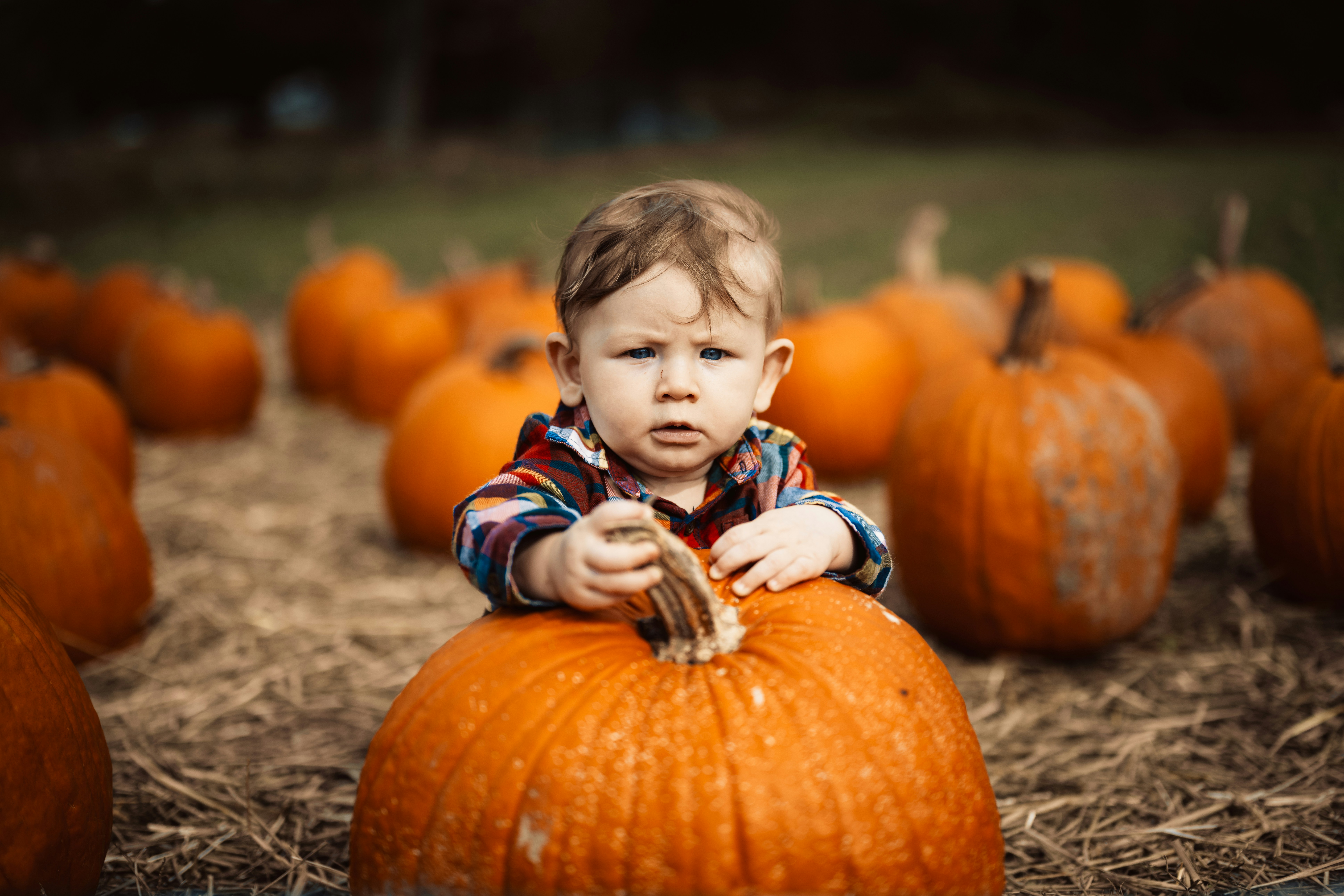visual schedule and sensory tools help keep routines during fall break - hero image